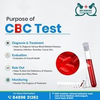 Wellness and Checkup Tips